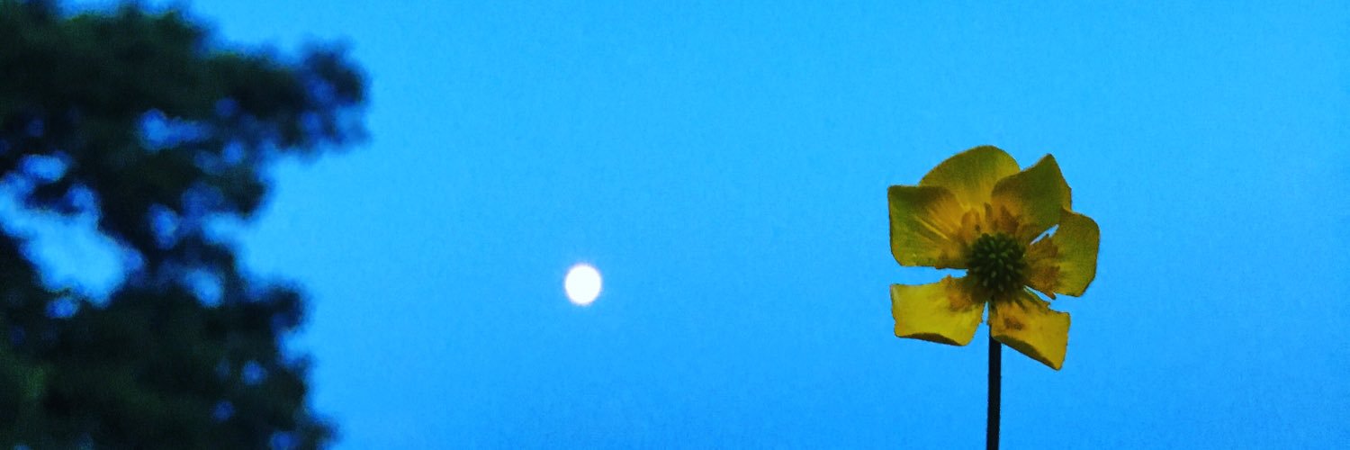 Charlotte Frady banner