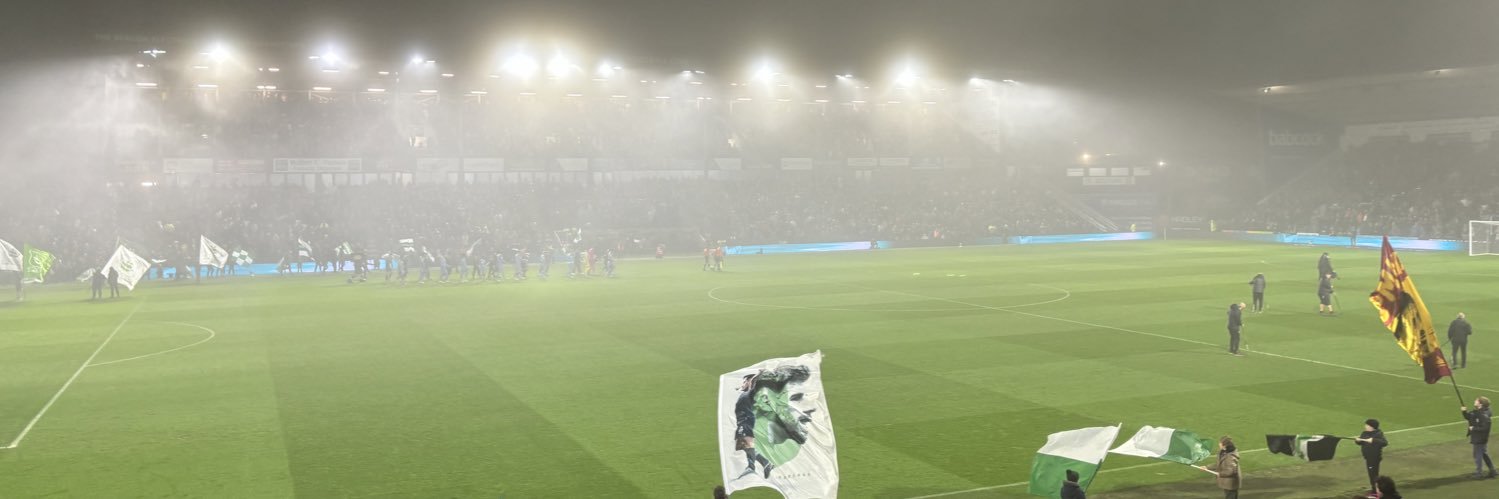 Fin banner