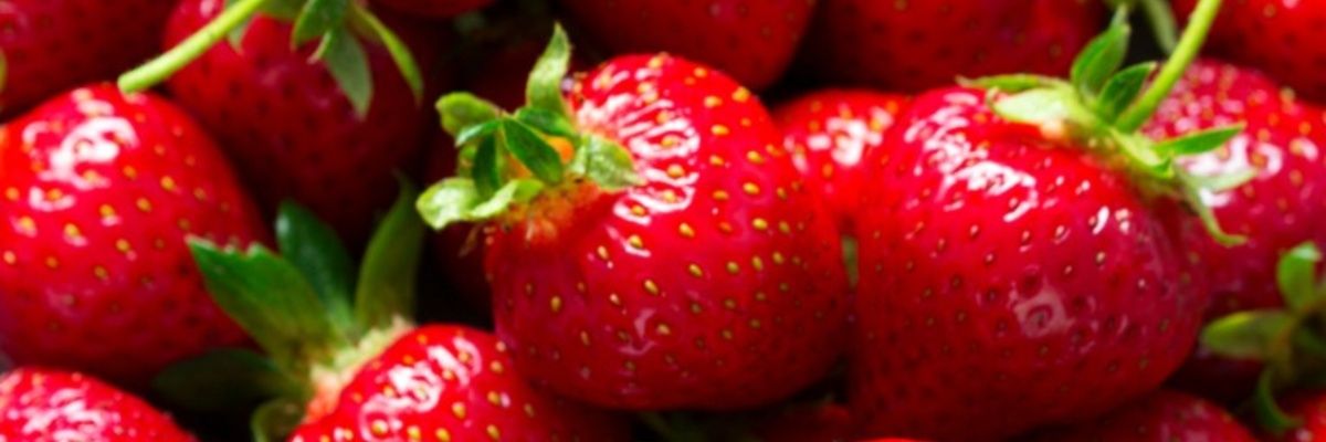 retamgrta's profile banner image