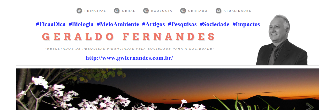 Gwfernandes banner