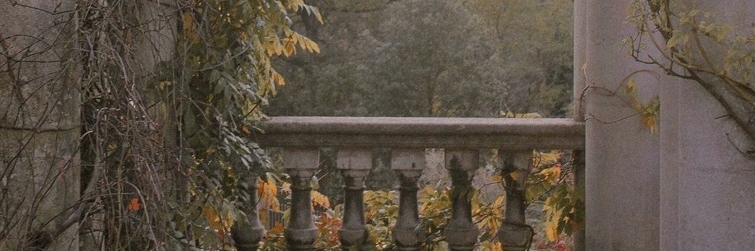 culobotte's profile banner image