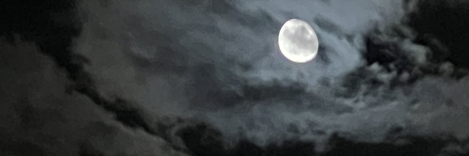 🌜BELLA🌛 banner