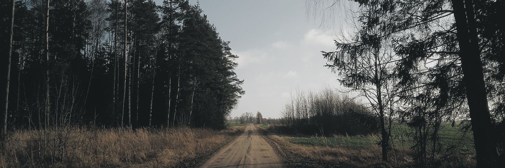 r_didrihsons's profile banner image