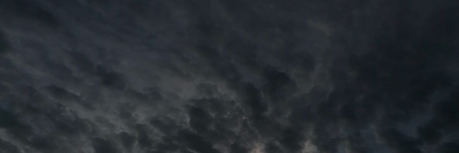 LRegtvoort's profile banner image