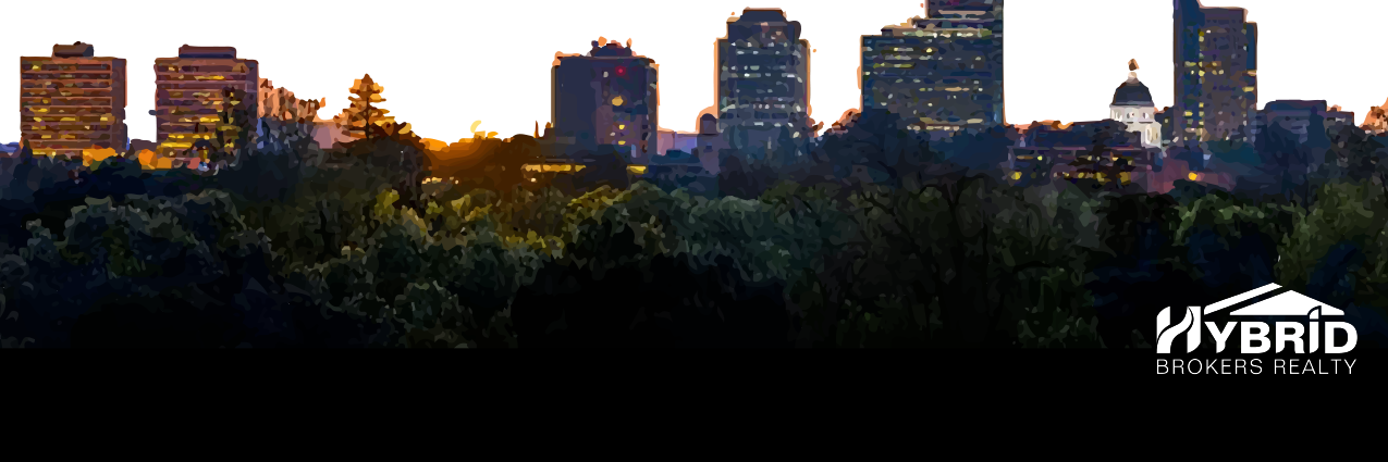 ElissaHackett's profile banner image