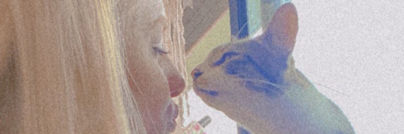 JesiRodriguez_'s profile banner image