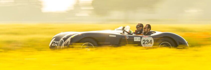 Jason Torchinsky banner