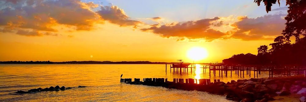 Jeremiah Osborne-Gowey banner