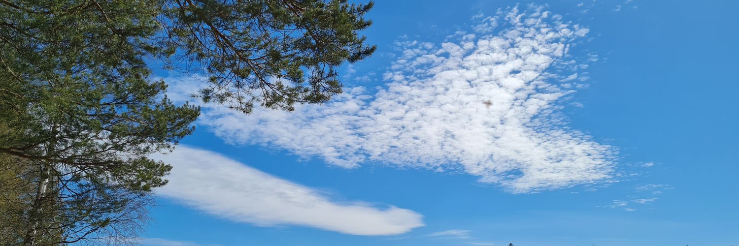 Tiuhtija's profile banner image