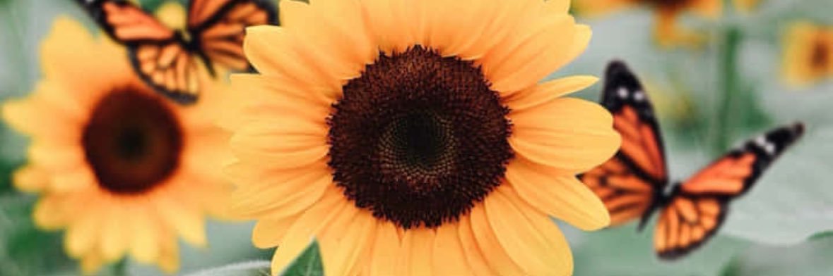 XoprettyB's profile banner image
