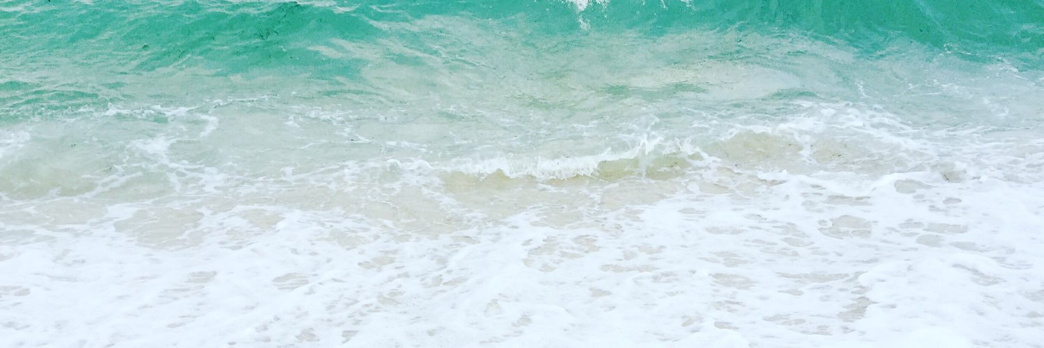 ChelleSteele's profile banner image