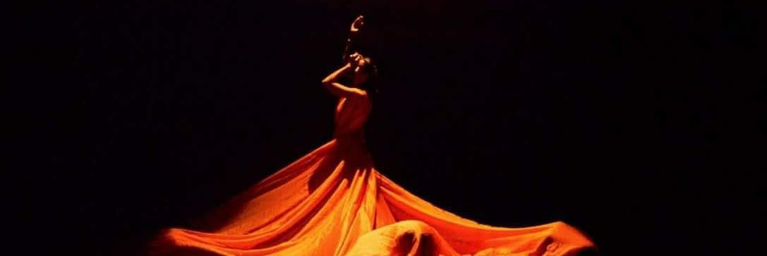 Aldaba_Danza's profile banner image