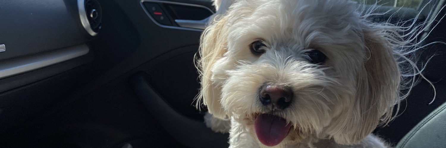 gisselleramoss's profile banner image