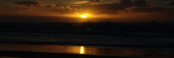 tomguest1982 Profile Banner