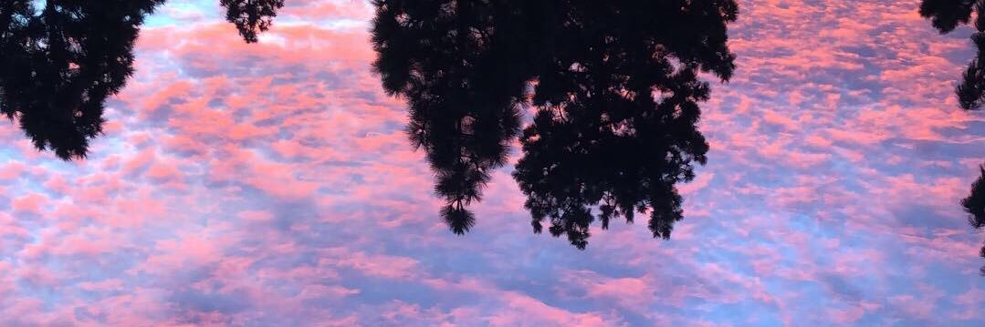 maadi7's profile banner image