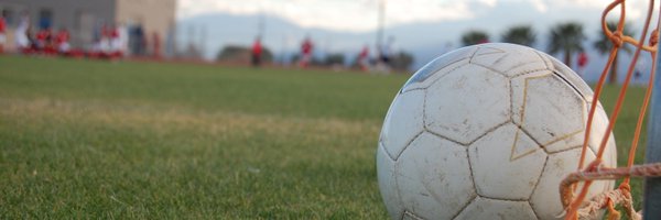 DevonExeterLge Profile Banner