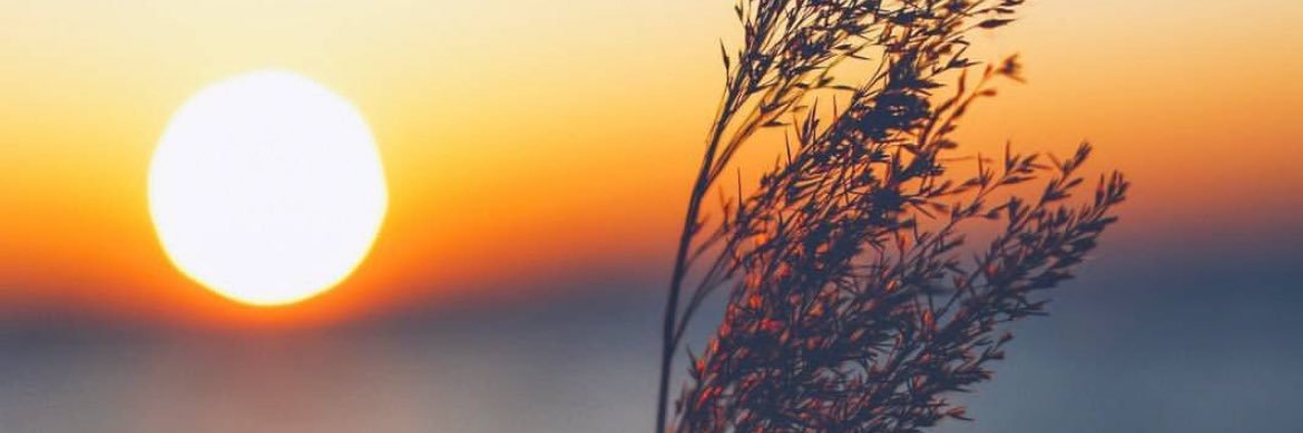 fahad70705's profile banner image