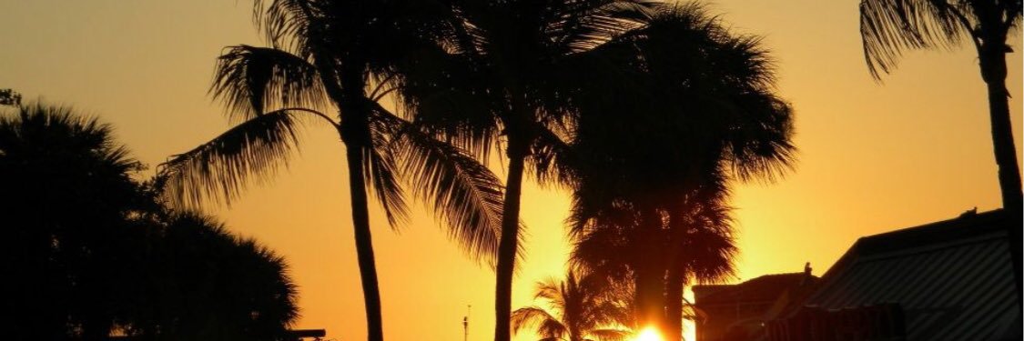 andrea mcmurtry banner