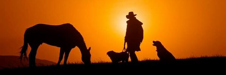 Drewcaughren's profile banner image