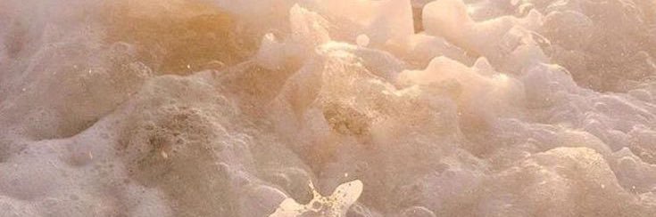 HamiltonLyndsey's profile banner image