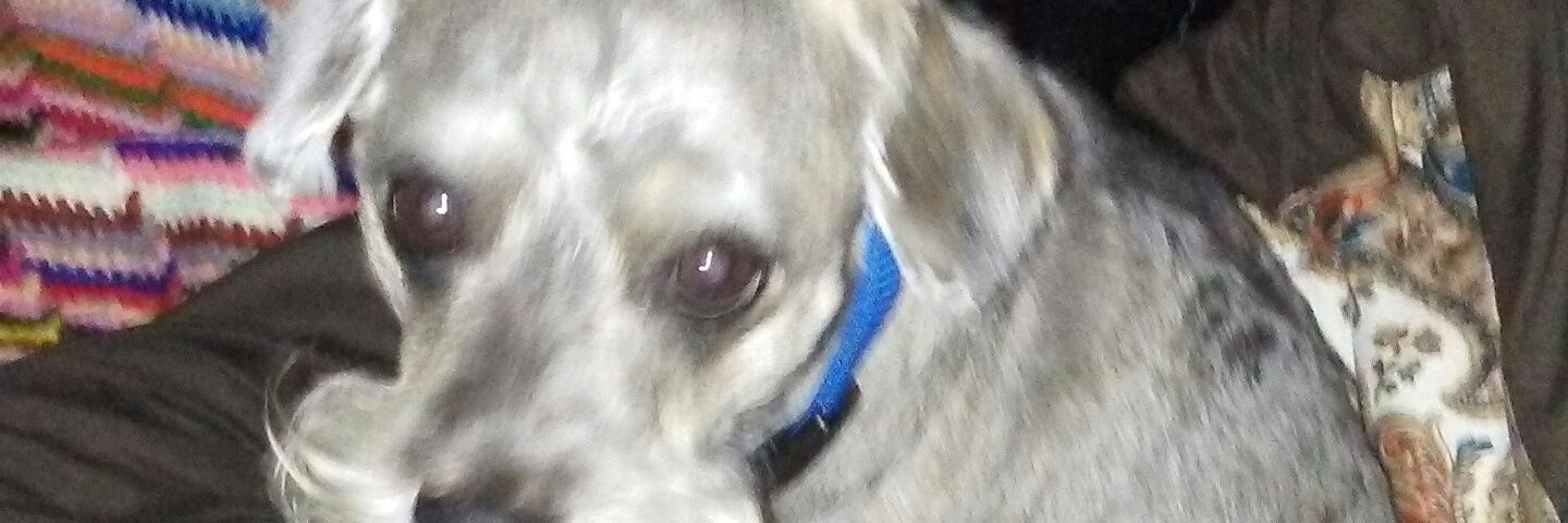 Billdeplor's profile banner image