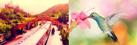 SharonRiler1's profile banner image