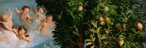 V 🕊️ banner