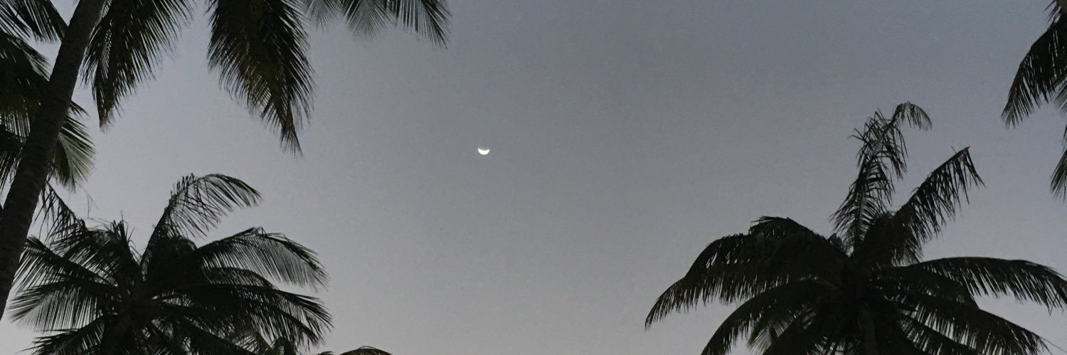 Social Work Stacey banner