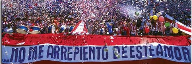 Maverick banner