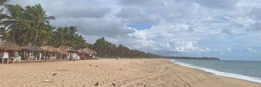 Tati🌿🕊🤍#JustiçaPorOrelha banner