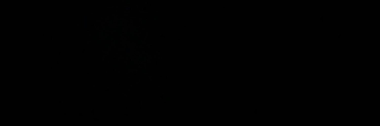 wolf_bret's profile banner image