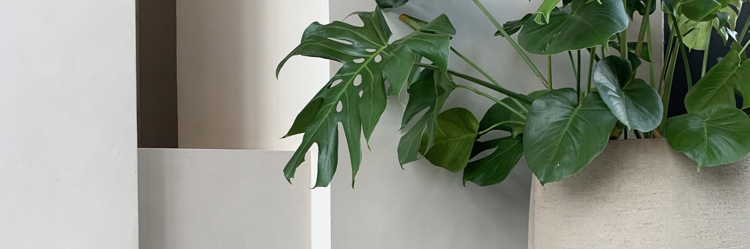 leannee_carter's profile banner image