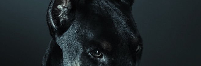 mervebalciogluu's profile banner image