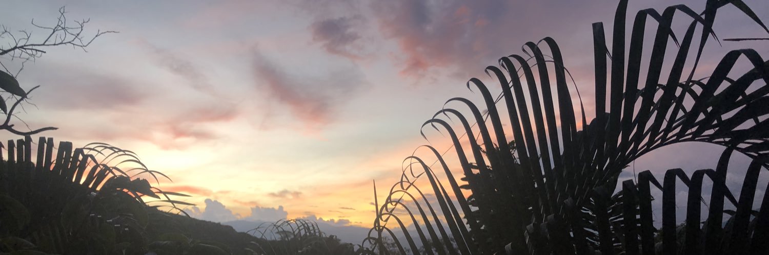 valenboteroo's profile banner image