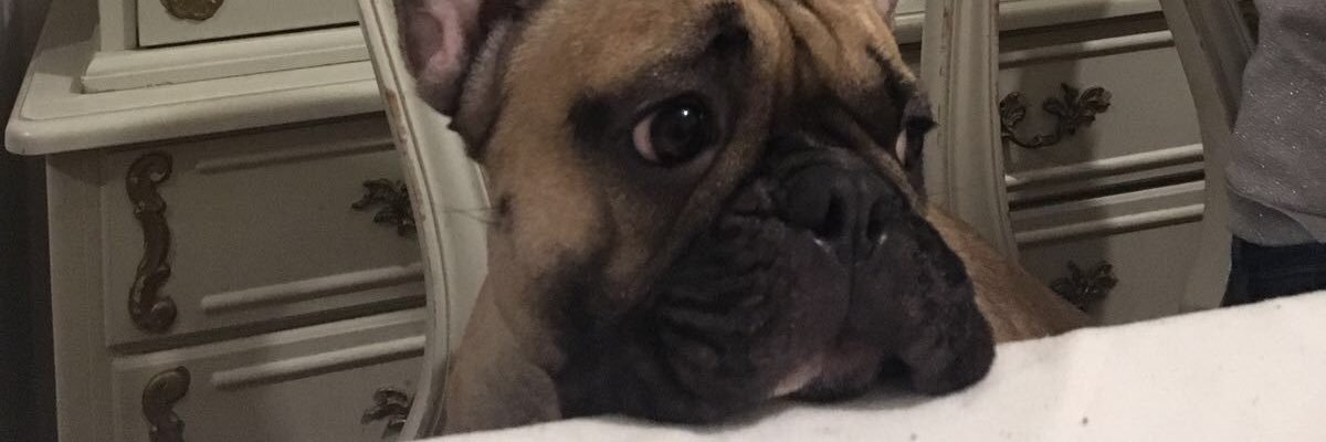 rey_dyberg's profile banner image