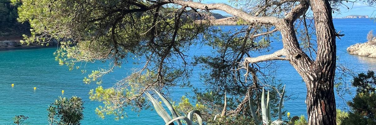 Matxal_14's profile banner image