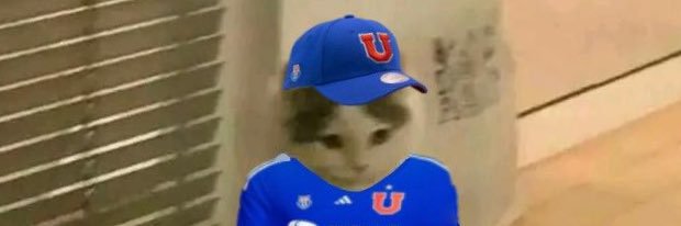 AdonisDelAzul banner