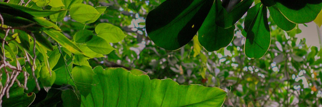 chelsmbanks's profile banner image