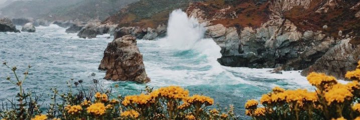 elli___r's profile banner image