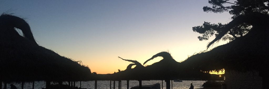 expat__x's profile banner image