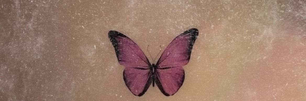 KyleighWick's profile banner image