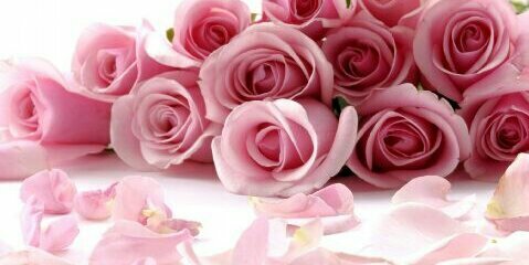 _baasmah_'s profile banner image