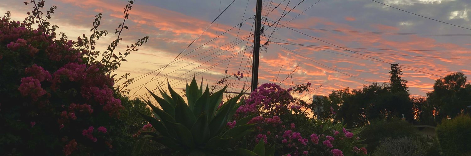 the_breezee's profile banner image