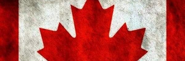 vandelayexportz's profile banner image