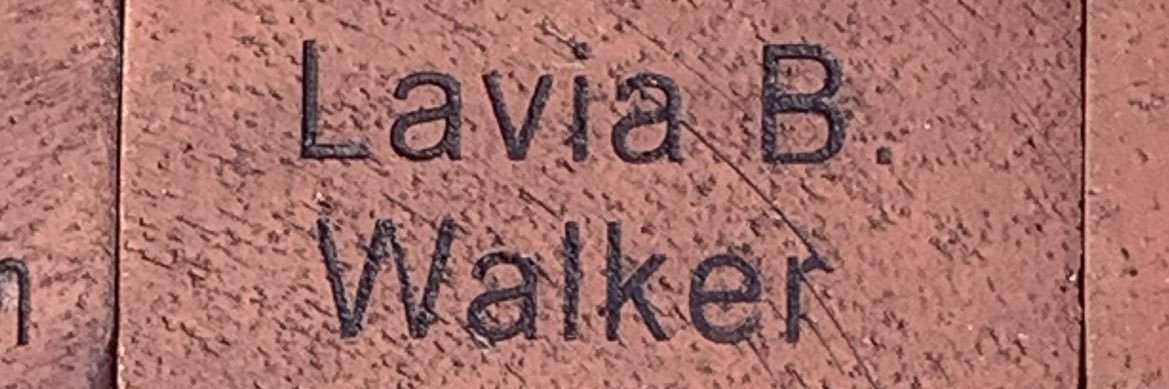 lavia_w's profile banner image