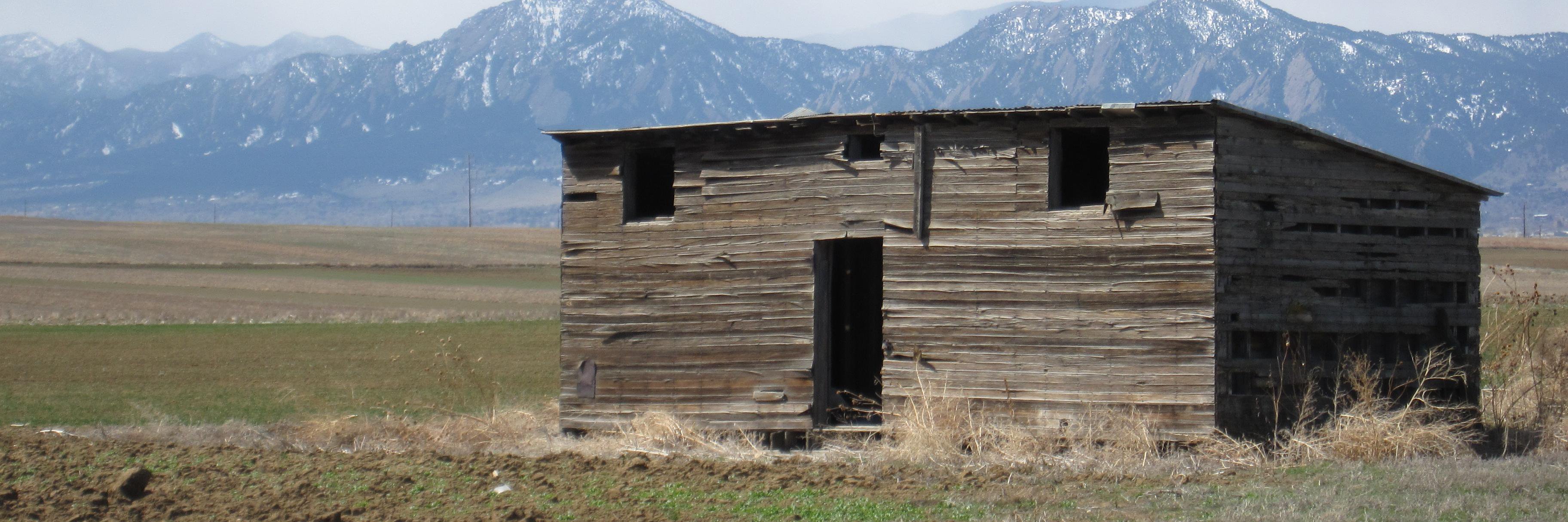 They call me Papa banner