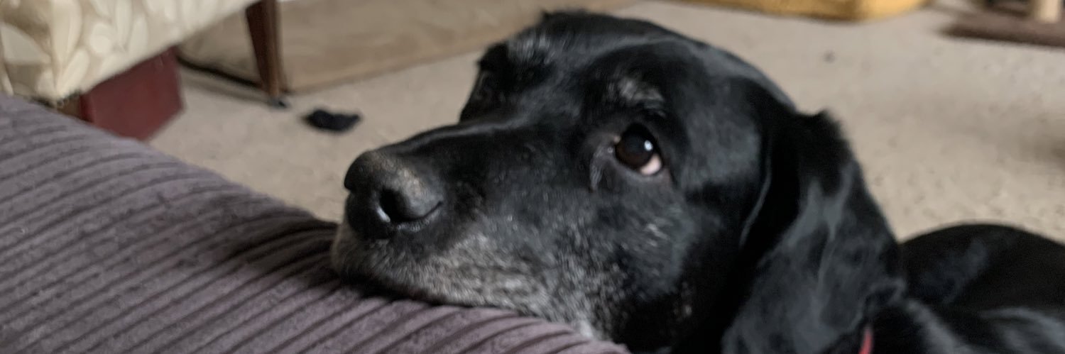 xemilyconstance's profile banner image