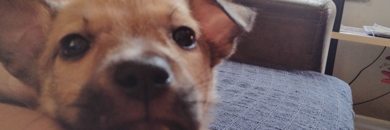 isabwIIa's profile banner image