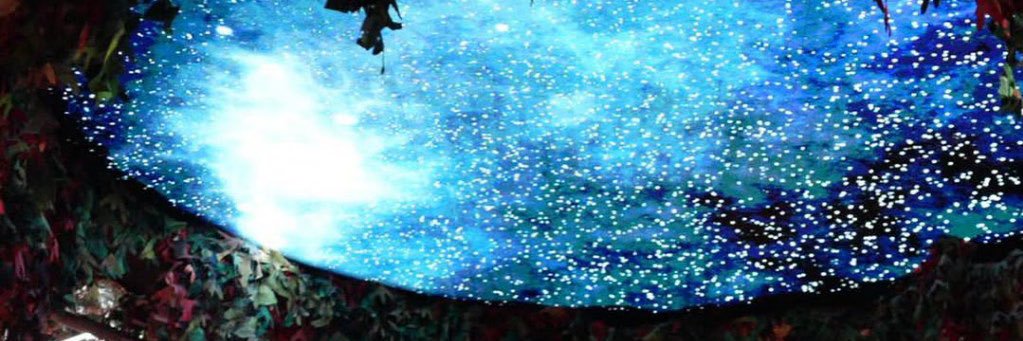 BwillS817's profile banner image