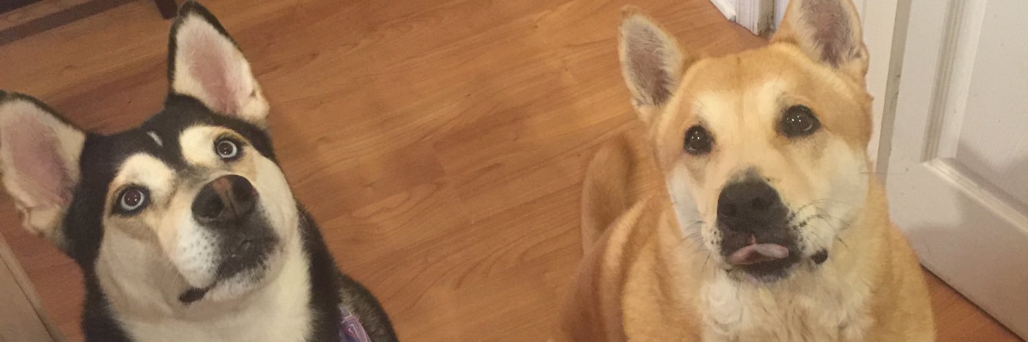 OGSORT14's profile banner image
